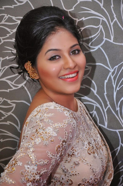 Tamil Actress Anjali New Pics In Saree 15